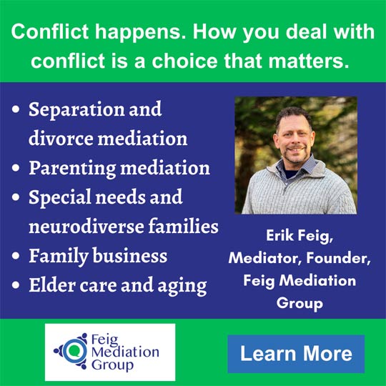 Feig Mediation Group